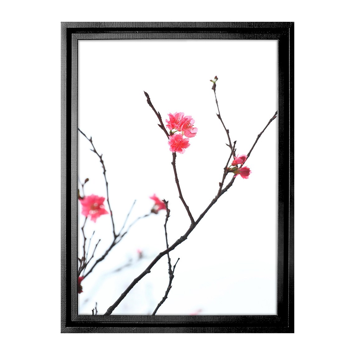 Картина в раме asplin art
