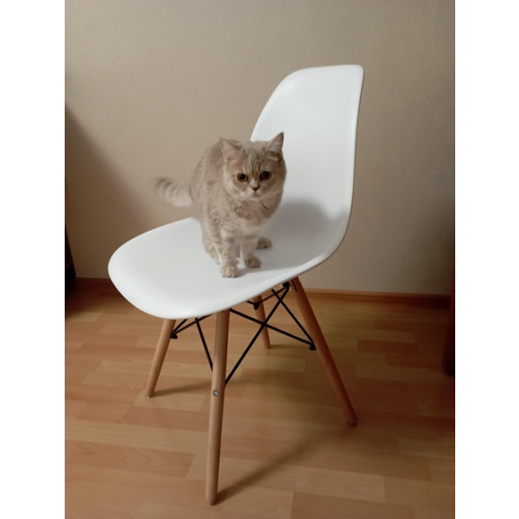 Стул Eames Белый - фото 7