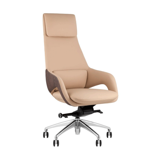 Кресло руководителя TopChairs Reign, бежевый - фото 1