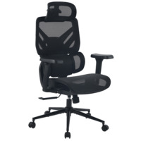 Фотография Кресло офисное TopChairs Structo, черная сетка от производителя ChiedoCover, картинка продукции, реальное фото товара Настоящее фото товара Кресло офисное TopChairs Structo, черная сетка, произведённого компанией ChiedoCover