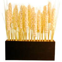 Настоящее фото товара Стойка пшеница Сашэ, произведённого компанией ChiedoCover