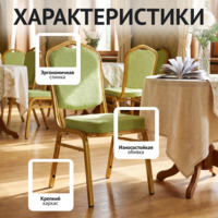 Фотография товара Стул Хит 25мм - золото, шенилл светло-зеленый от компании ChiedoCover.
