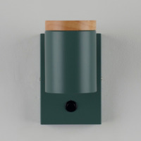 Фотография товара Светильник настенный Рик Ашесвуд, зелёный от компании ChiedoCover.