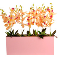 Настоящее фото товара Стойка орхидея Смила, произведённого компанией ChiedoCover