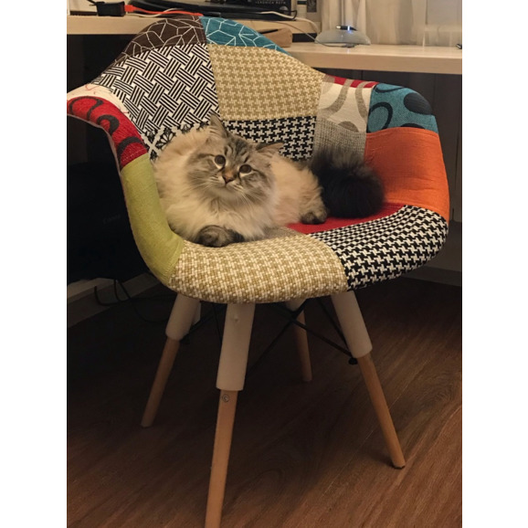 Кресло Eames DSW пэчворк - фото 6