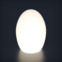 Настоящее фото товара Светильник настольный Egg с подсветкой, произведённого компанией ChiedoCover
