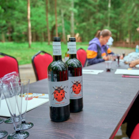 Истра холидей (Московская обл, Солнечногорский р-н д.Трусово)