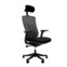 Настоящее фото товара Офисное поворотное кресло Sparx ft-5 raze black / black, mesh / fabric, черный, произведённого компанией ChiedoCover