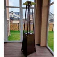 Фотография товара Уличный газовый обогреватель WWT 13I TOTAL Brown от компании ChiedoCover.
