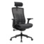 Настоящее фото товара Офисное поворотное кресло Sparx ft-2 raze plus black / black, mesh, черный, произведённого компанией ChiedoCover