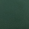 Фотография Green