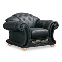 Настоящее фото товара Versace кресло, произведённого компанией ChiedoCover