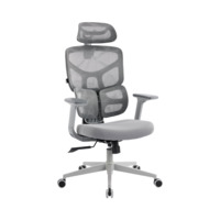 Настоящее фото товара Эргономичное кресло Omega Grey, сетка, серый, произведённого компанией ChiedoCover