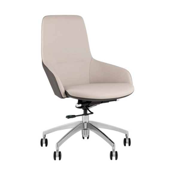 Кресло офисное TopChairs Soulo, бежевый, серый - фото 1