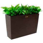 Фотография товара Папоротник нефролепис Джаф кашпо Dekollete 36 от компании ChiedoCover.